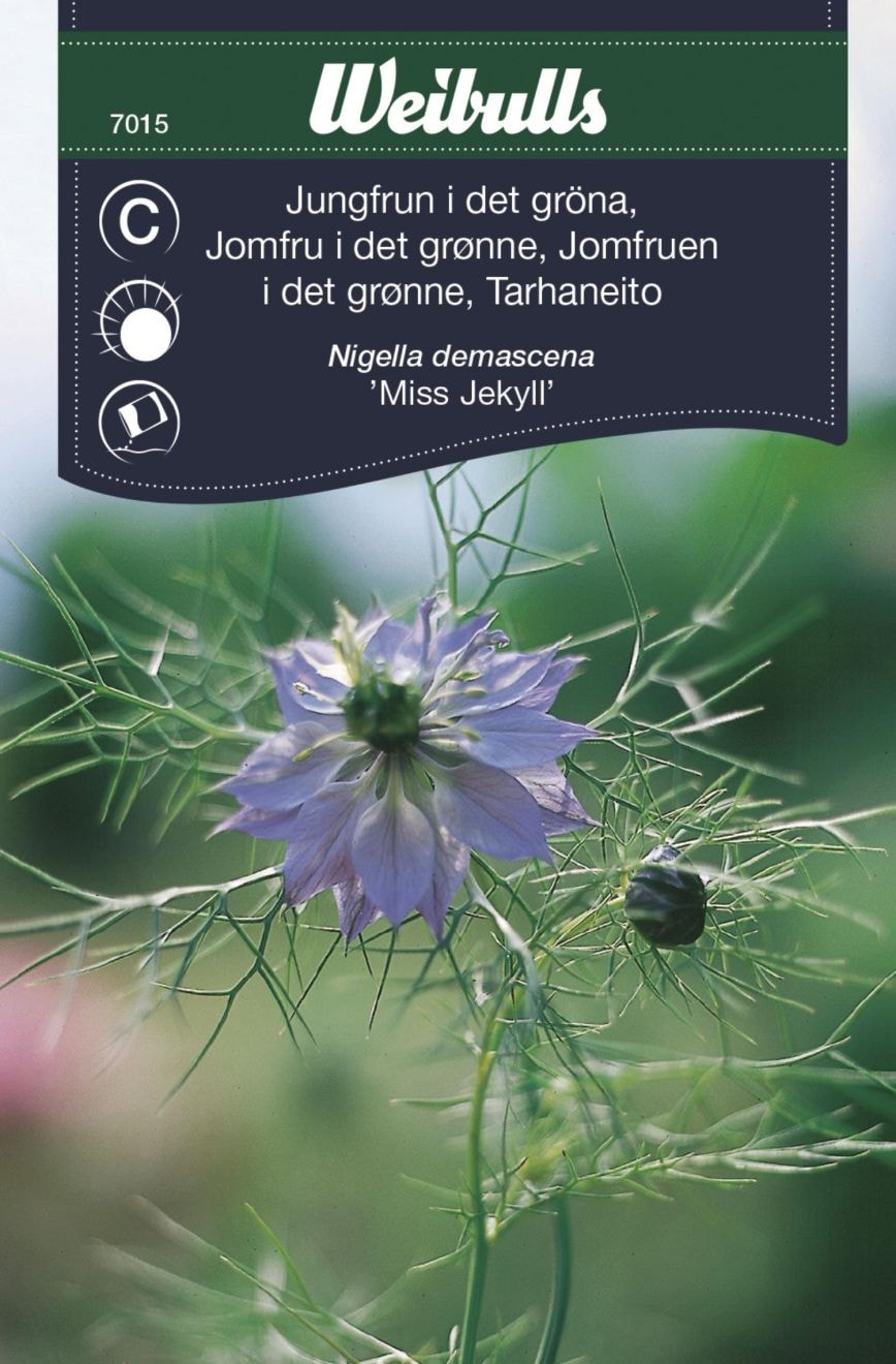 Weibulls Jungfrun i det gröna