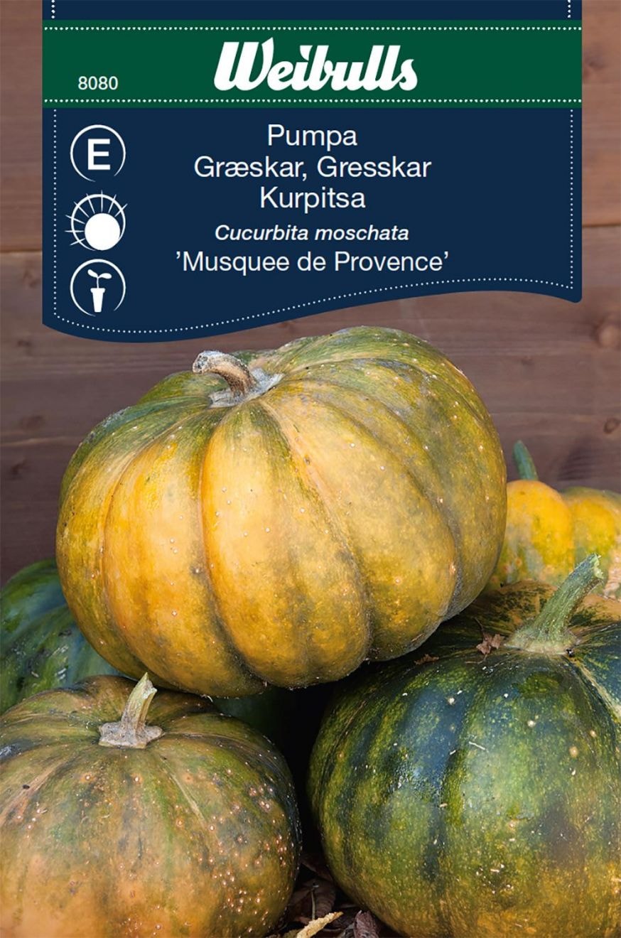 Weibulls Pumpa, Musquee deProvence