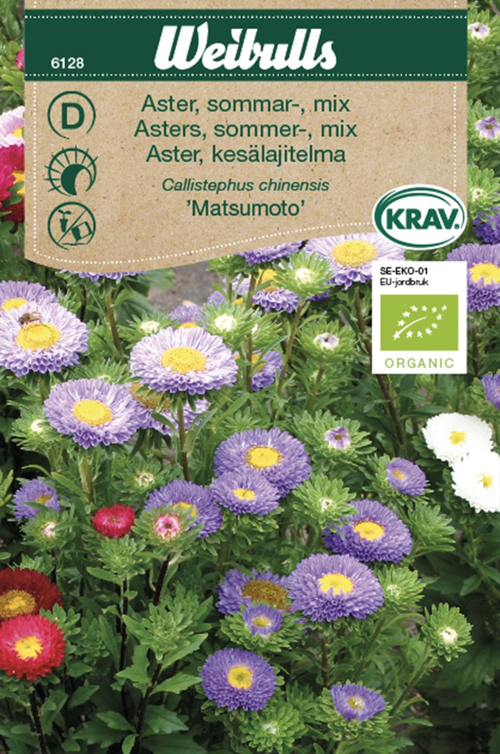 Weibulls Aster, sommar KRAV