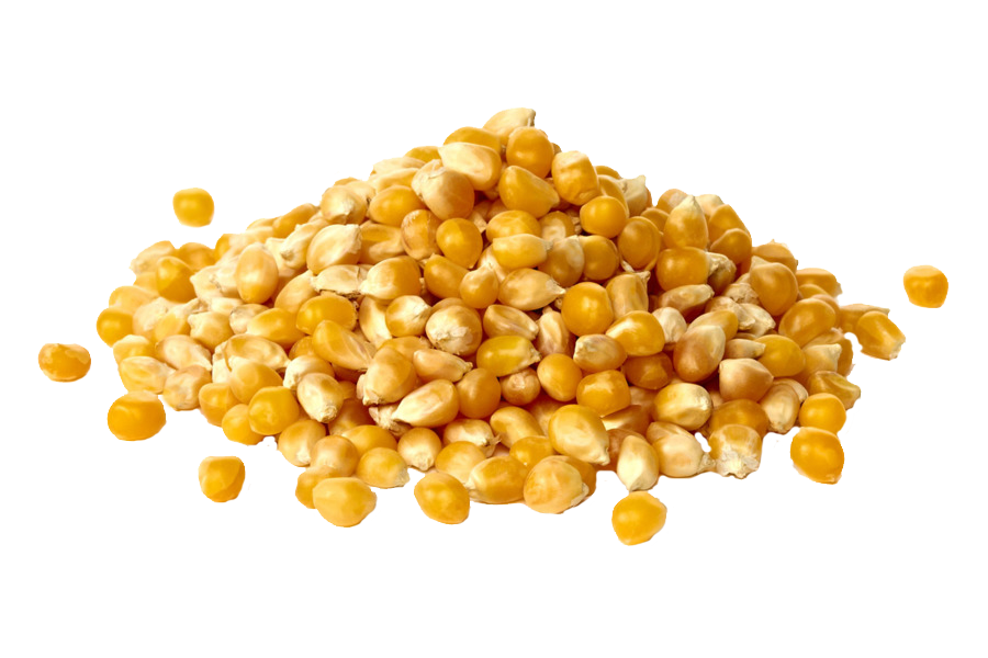 fodermajs.png