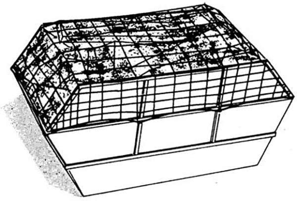 152753_2.jpeg