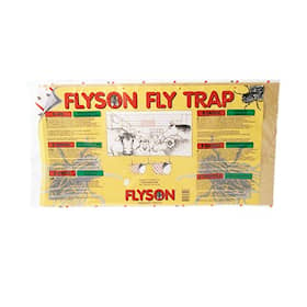 Flyson Fly Trap liima-ansa