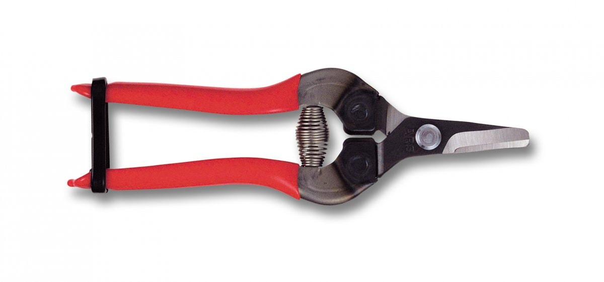 ARS 300 Florist/Blumenschere