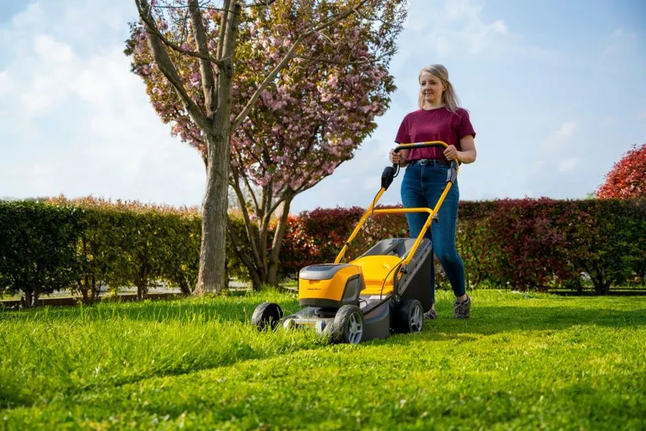 df87e62b403cb226afb9ba1d76ffa7cf24_collector48SAEk