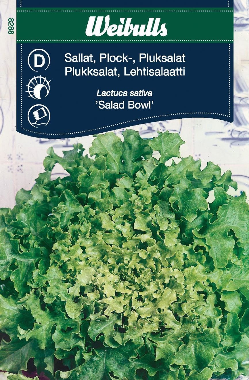 Weibulls Salaatti, Lehtisalaatti Bowl Siemenet