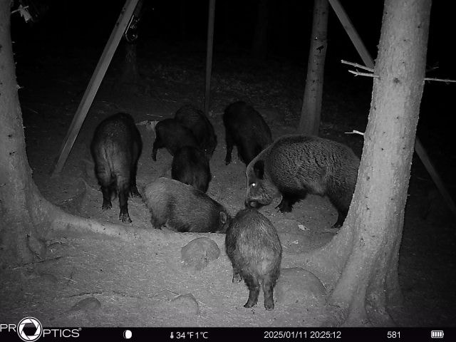 2025-01-11T07_25_ecc1954e-418a-485b-9a10-caba60bb2