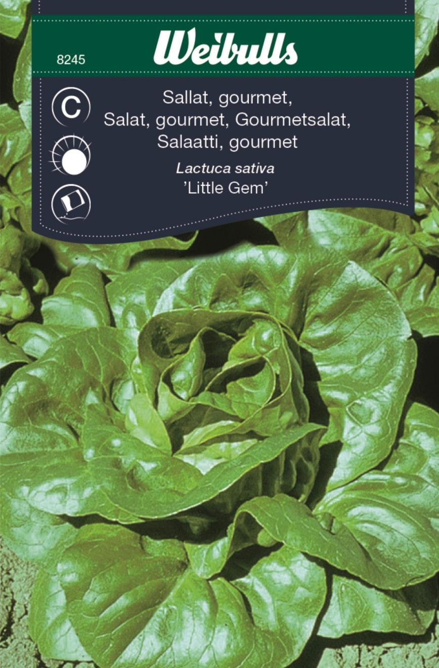 Weibulls Sallat, gourmet Frö