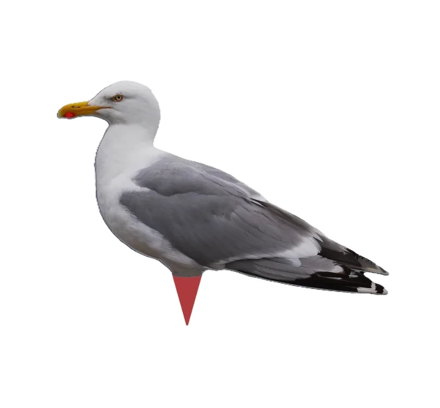 Siluettbulvan Mås 2-pack – Lockfågel