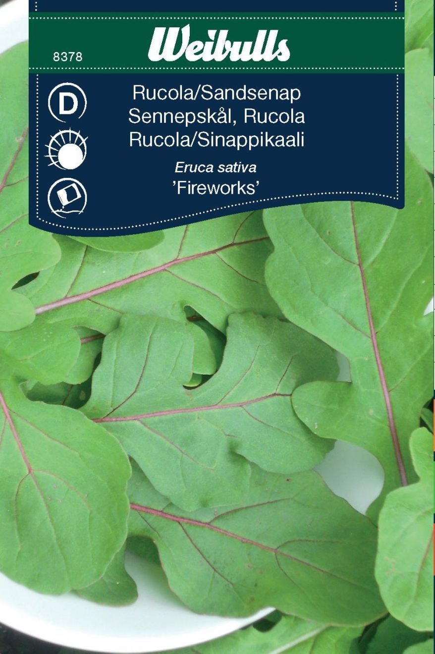Weibulls Ruccola, Fireworks