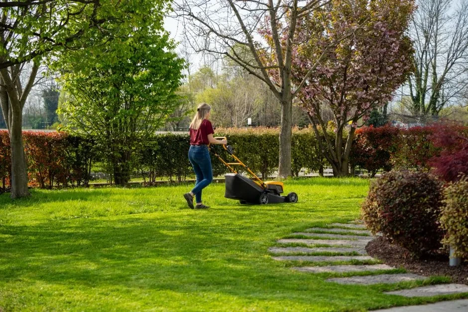 5bc9df2e4d076247bc86d299774dd46799_collector48SAEk