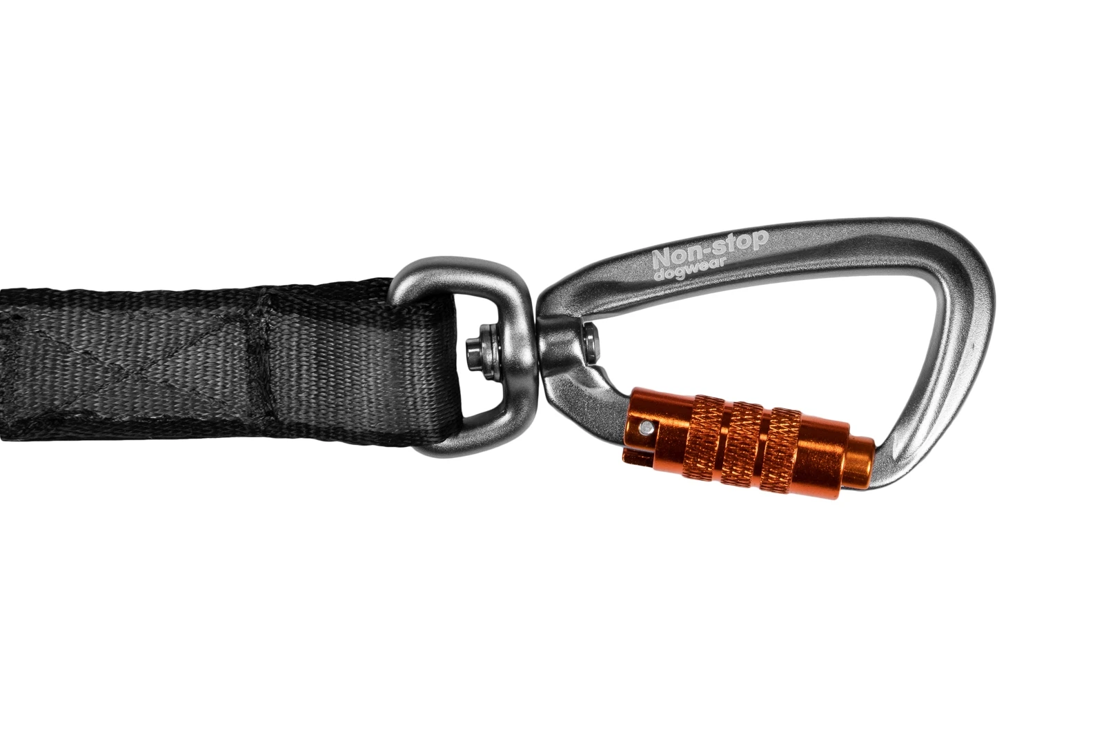 move_leash_feature_1[1].webp