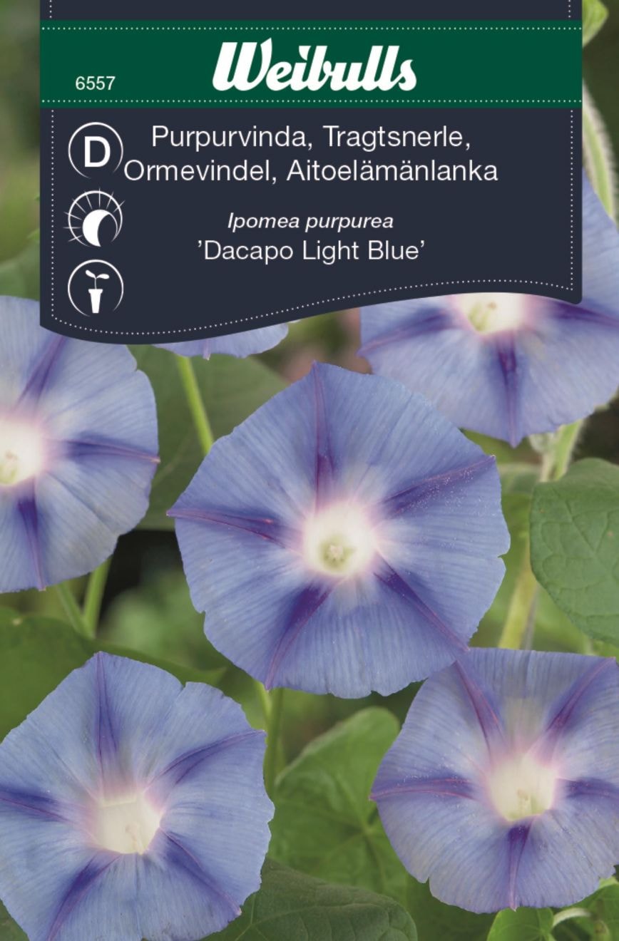 Weibulls Aitoelämänlanka, violetti