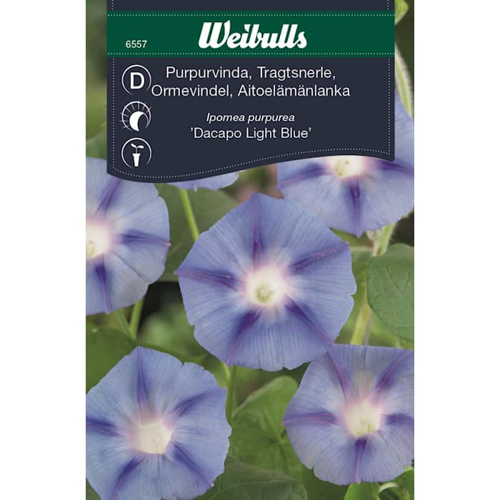 Weibulls Aitoelämänlanka, violetti