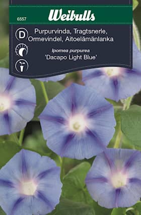 Weibulls Frö Vinda Dacapo Light Blue, purpur