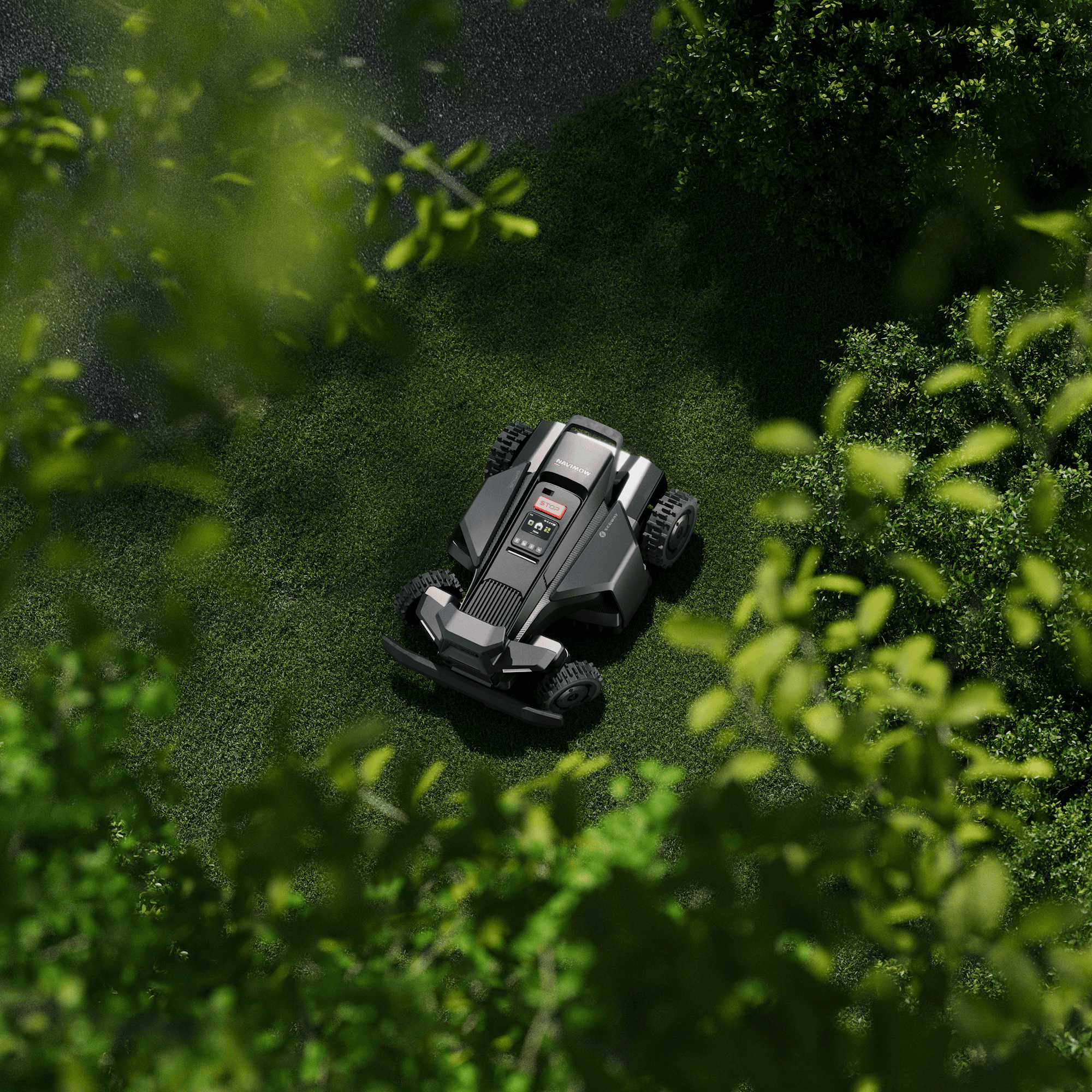 X4_Under Tall Trees.png
