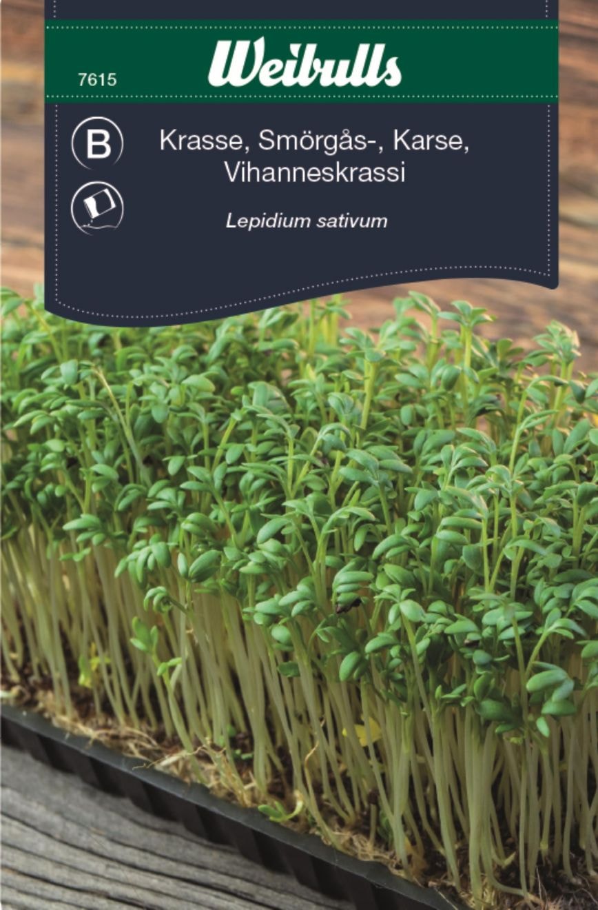 Weibulls Krasse, Smörgåskrasse Frö