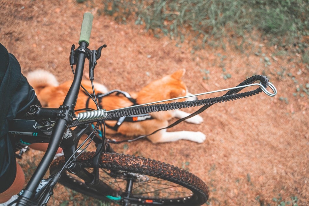 non-stop-bike-antenna-7[1].jpg