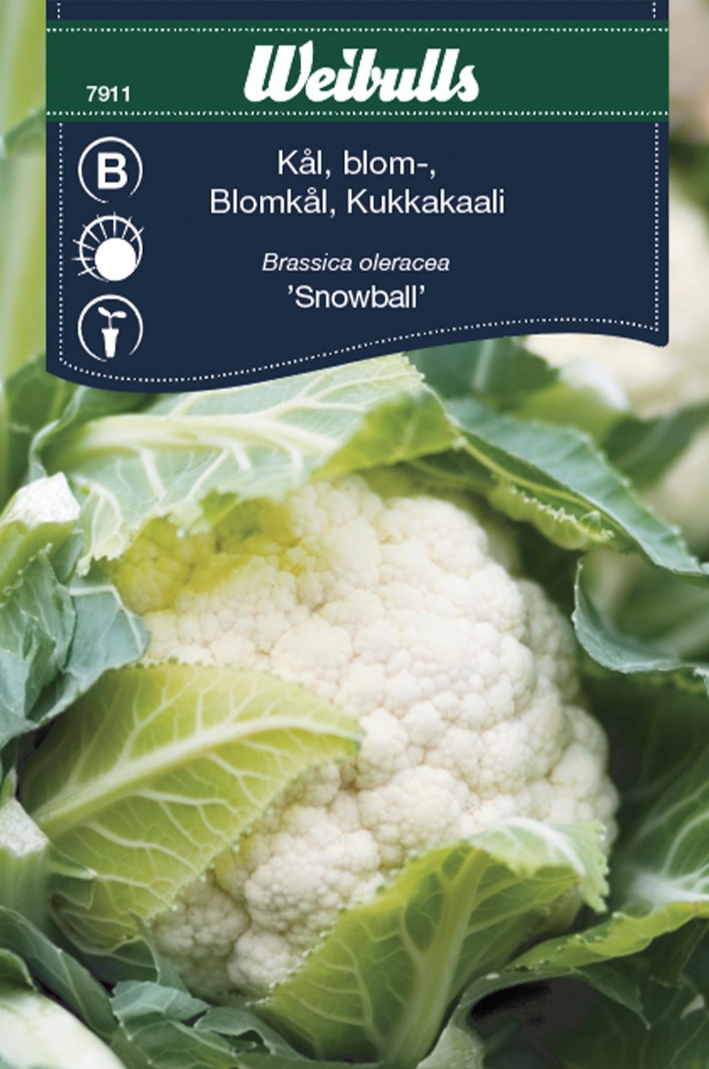 Weibulls Kål, blomkål Frö