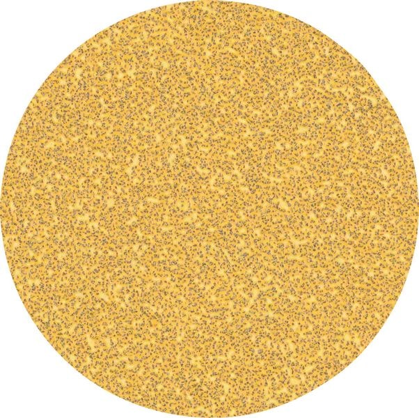 Bosch Slippapper Expert C470 för vinkelslip och borrmaskin, 125 mm P240 50 -pack