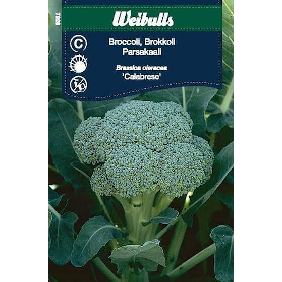 Weibulls Kål, Broccoli