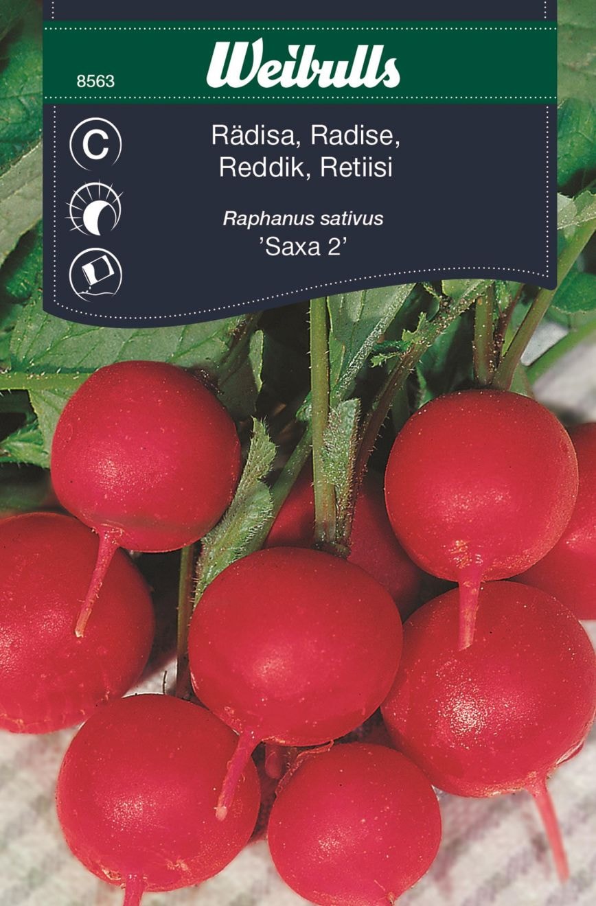 Weibulls Rädisa Saxa Frö
