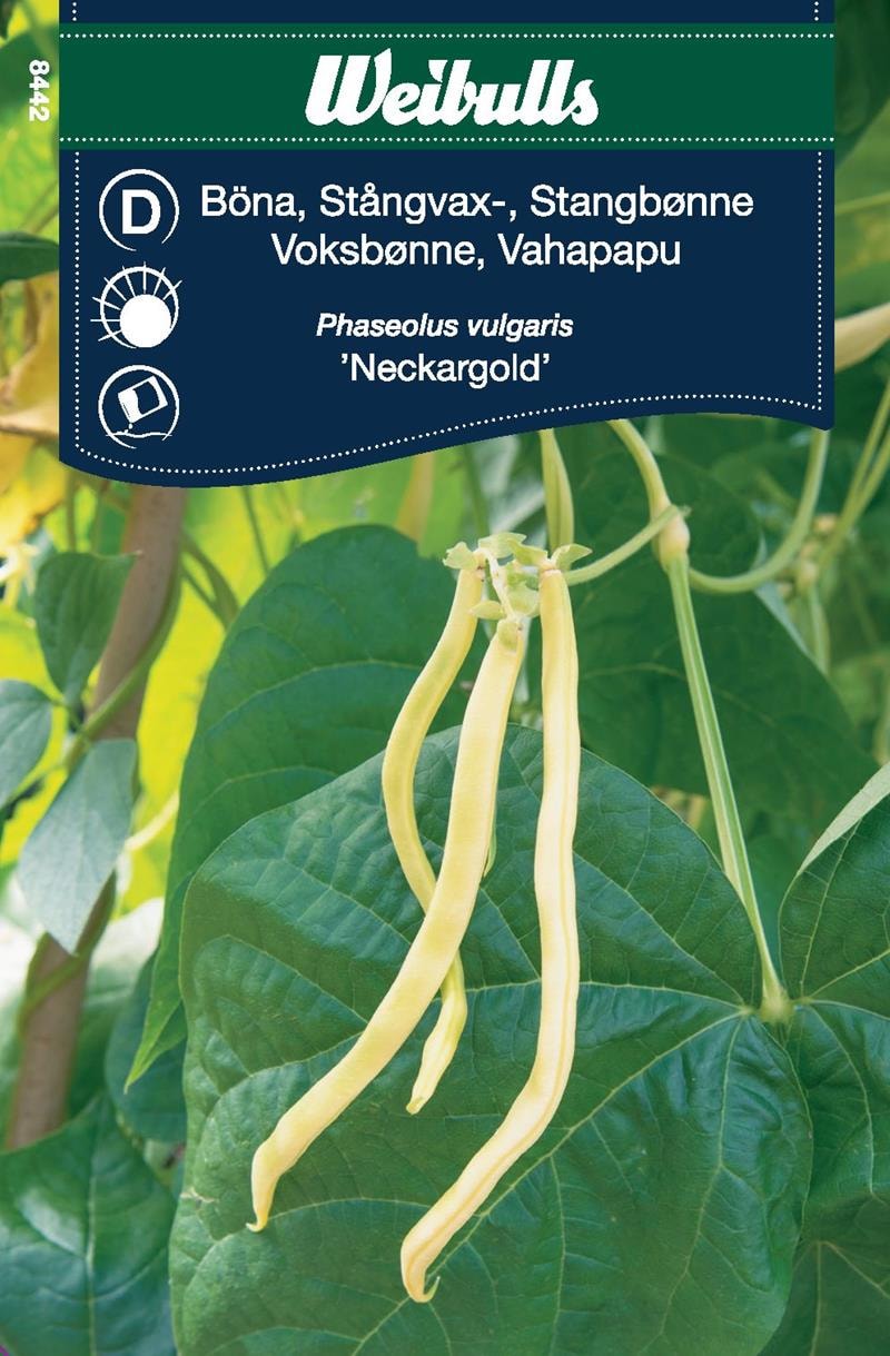 Weibulls Papu, Salkovahapapu Siemenet