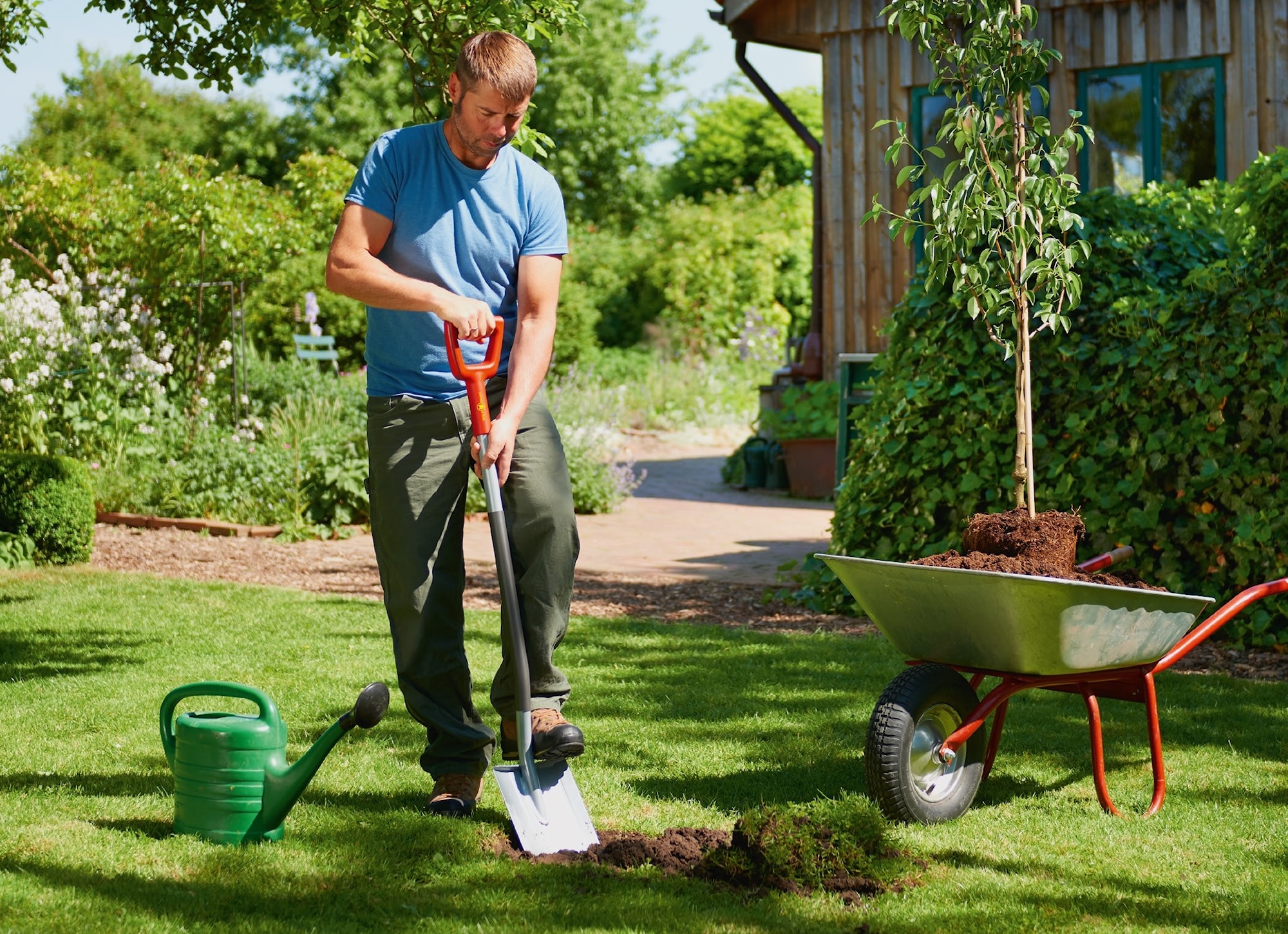 73ADA006650 AS-D_2.jpg