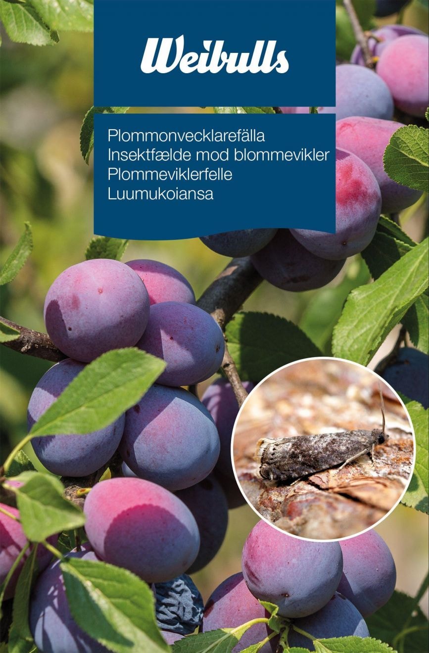 Weibulls Feromonfällor Plommonvecklare