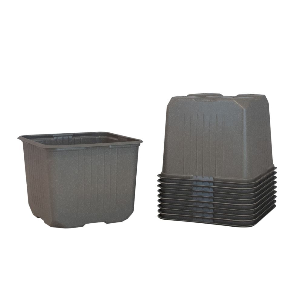 Weibulls Anzuchttöpfe 11cm Grau