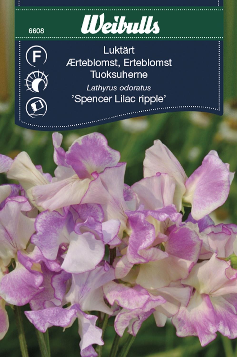 Weibulls Luktärt Spencer Lilac ripple