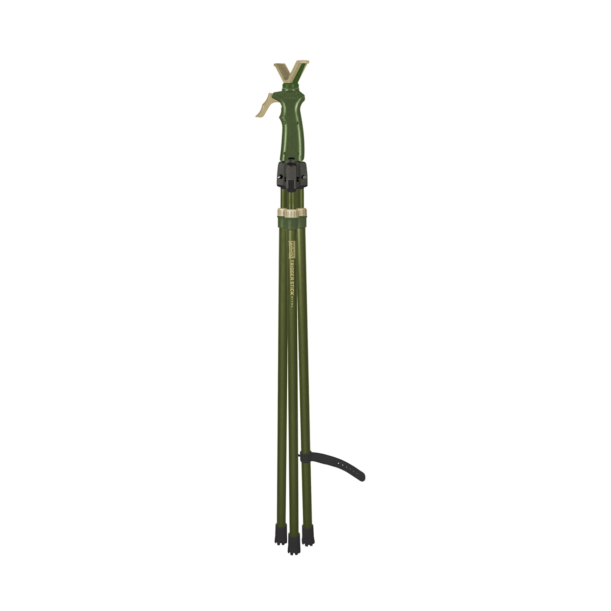 vital4[1].png