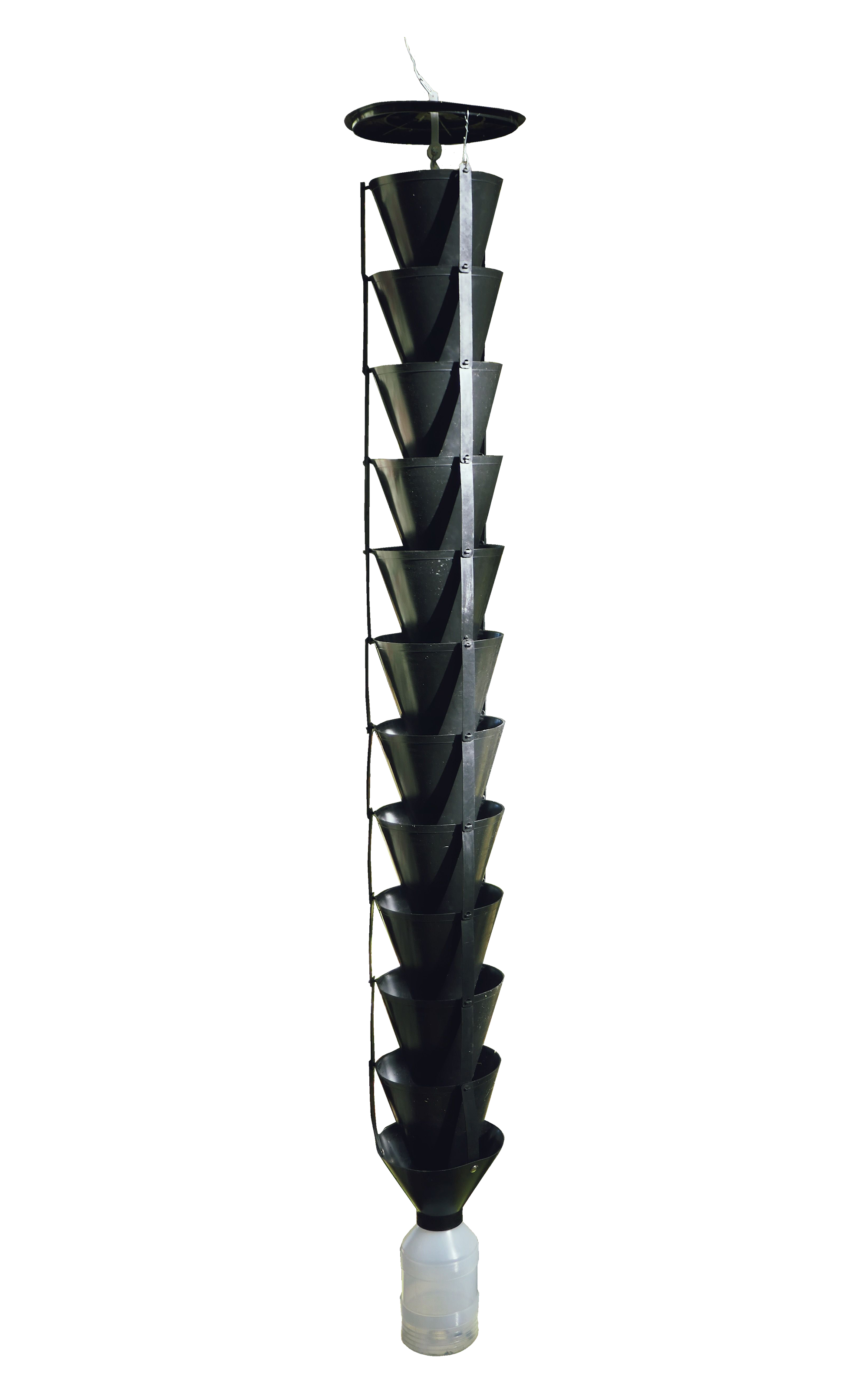 Organox Bark Kaarnakuoriaisansa 12 suppiloa